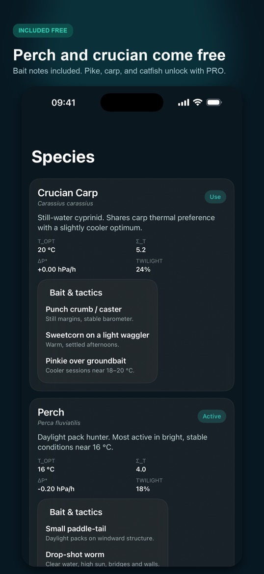 Species list with perch and crucian carp and bait tips