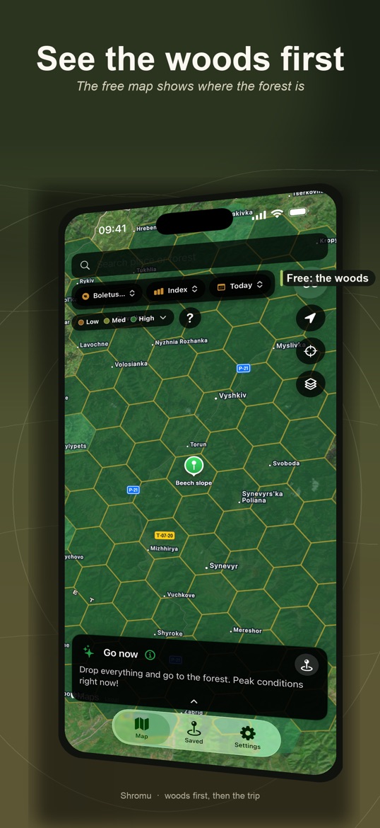 Forest habitat map with hexagonal cells, headline: See the woods first